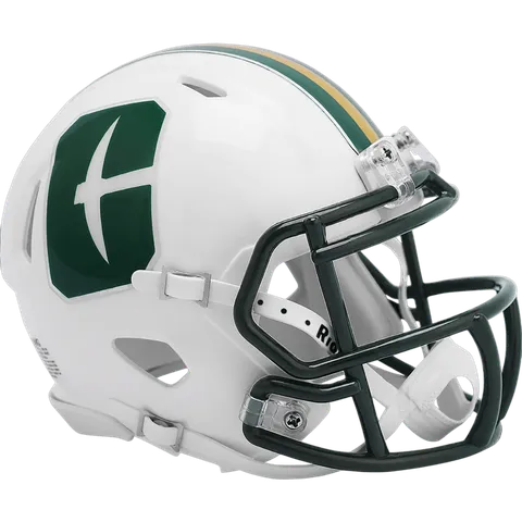 Charlotte 49ers Riddell Mini Speed Football Helmet – Green Niner