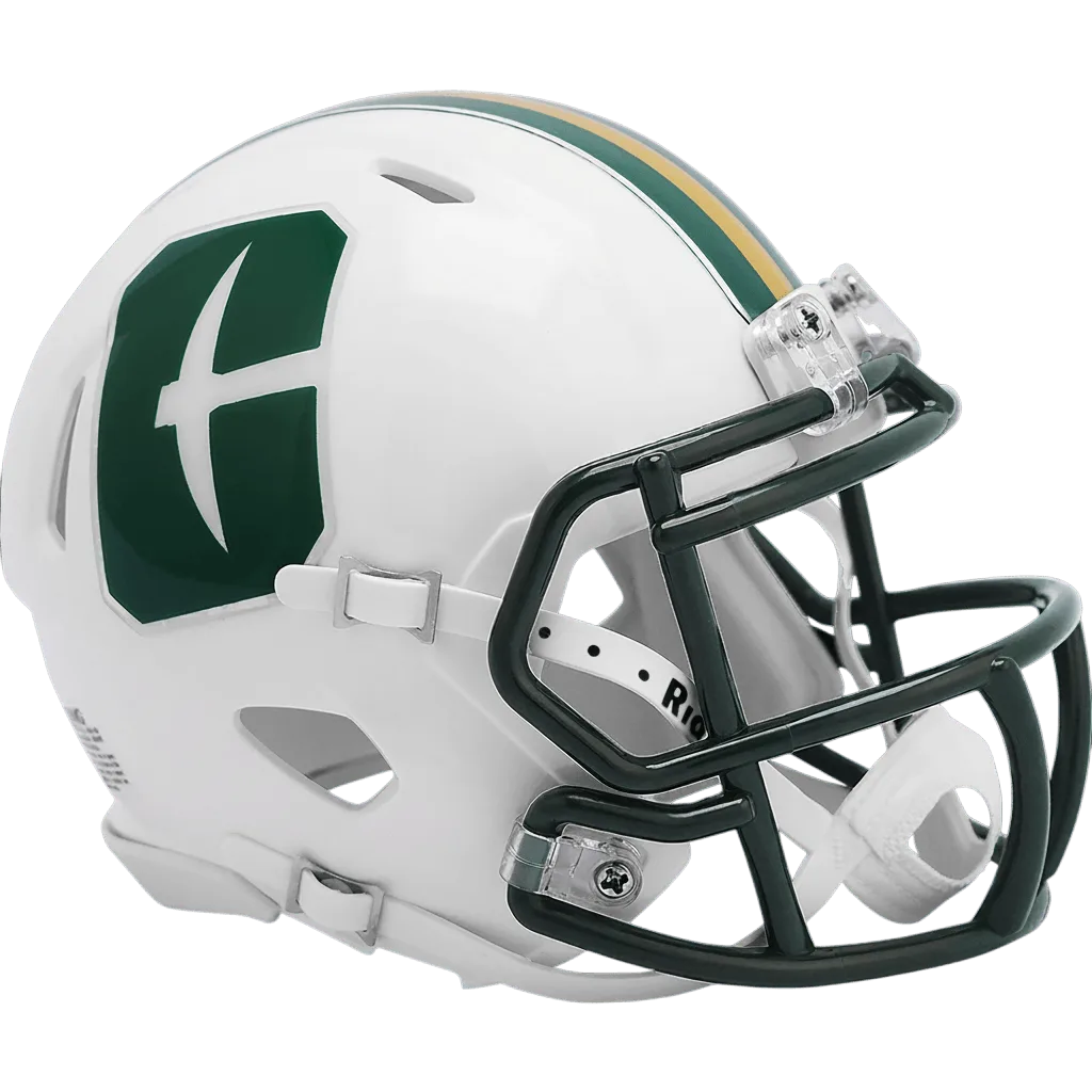 Charlotte 49ers Riddell Mini Speed Football Helmet – Green Niner