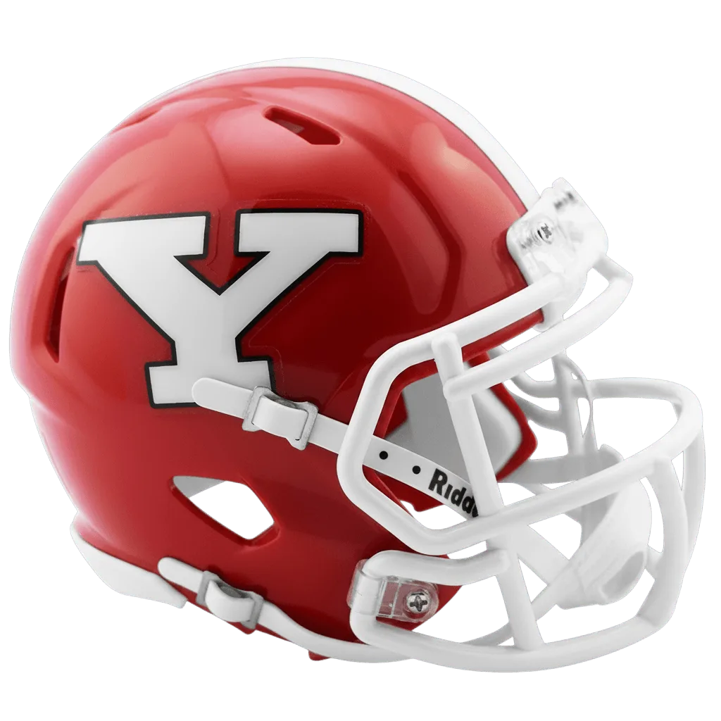 Youngstown State Penguins Riddell Mini Speed Football Helmet – Red Penguin