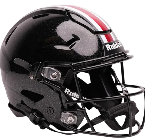 Ohio State Buckeyes Riddell Authentic SpeedFlex Football Helmet – Tunnel Vision