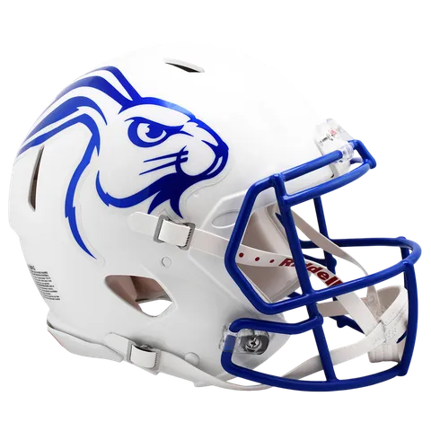 South Dakota State Jackrabbits Riddell Mini Speed Football Helmet – Chrome Decal