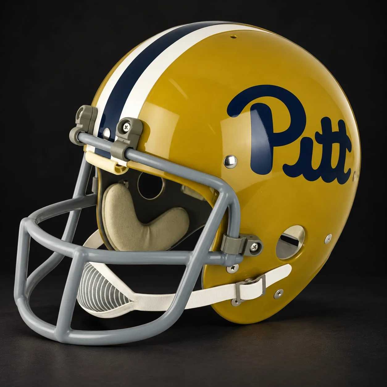 Pittsburgh Panthers Authentic Vintage helmet, left side